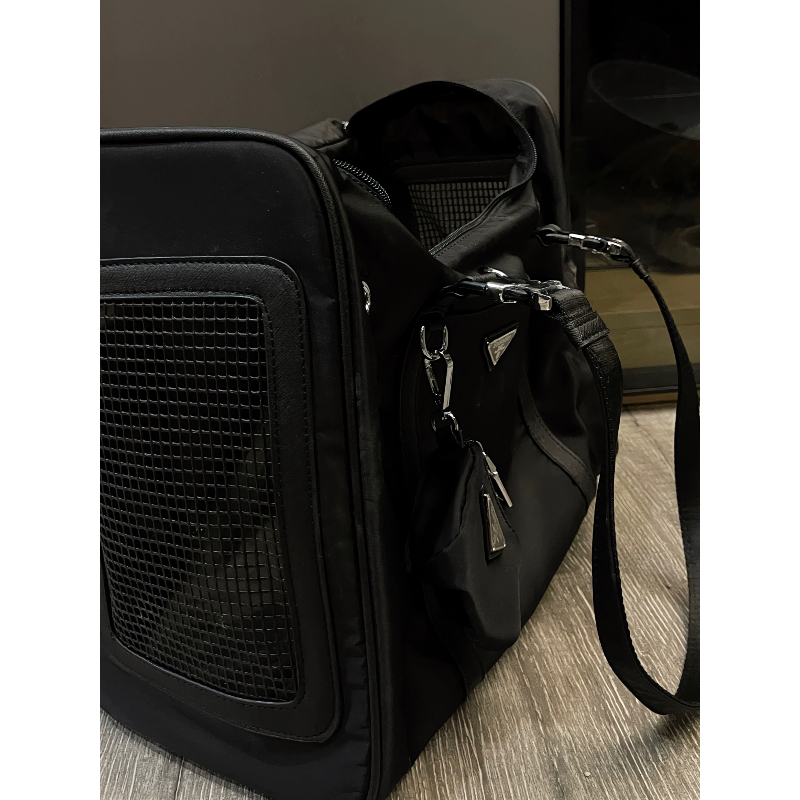 PR Luxury Dog Carrier
