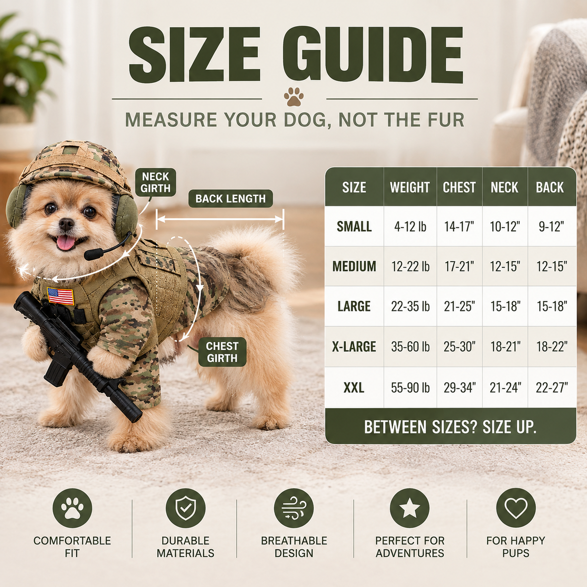 Pomeranian Soldier Costume