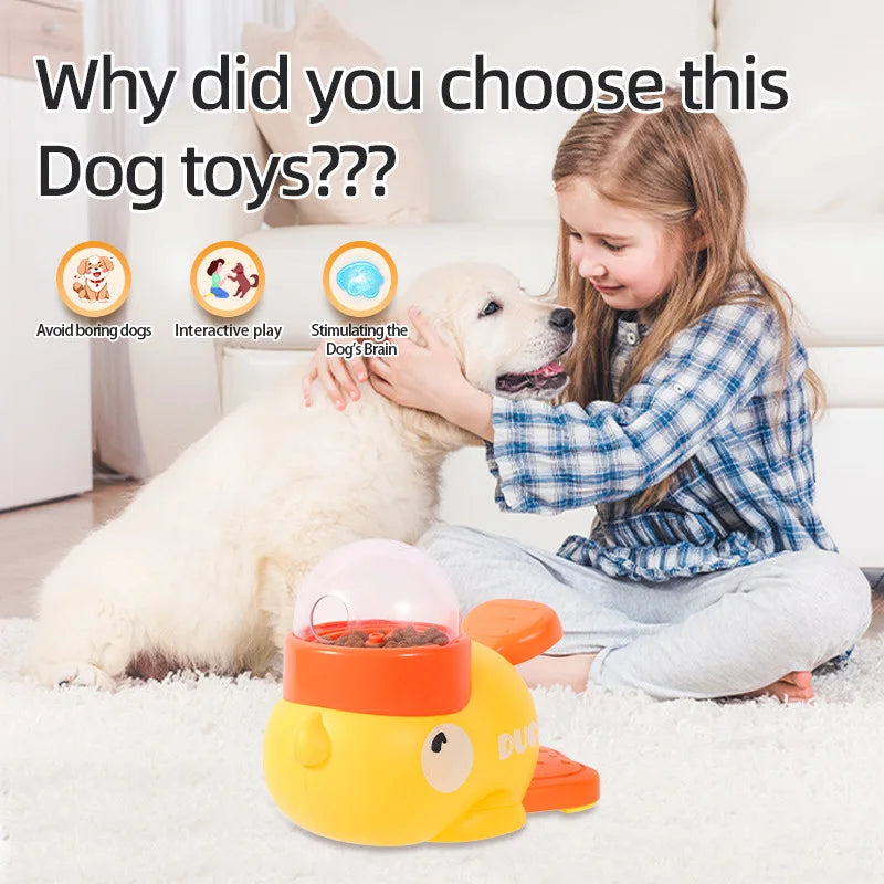 Pomeranian Toy Feeder