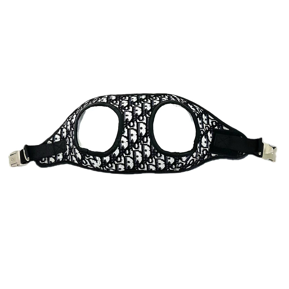 CD Luxury Harness And Leash Set