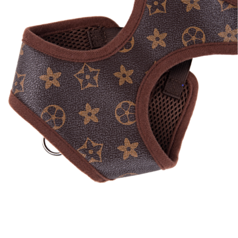 Chewy Designer Harness And Leash Set