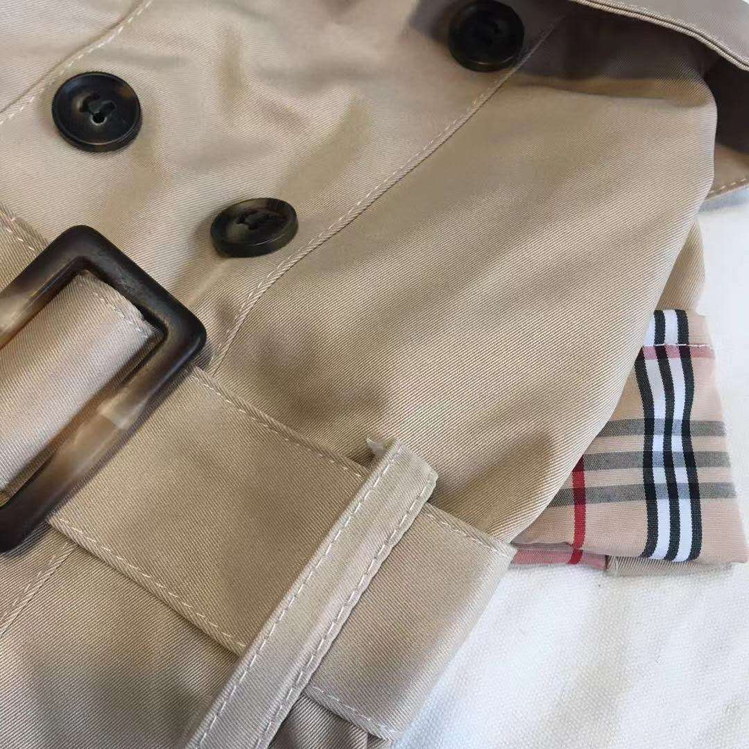 Classic Dog Dress