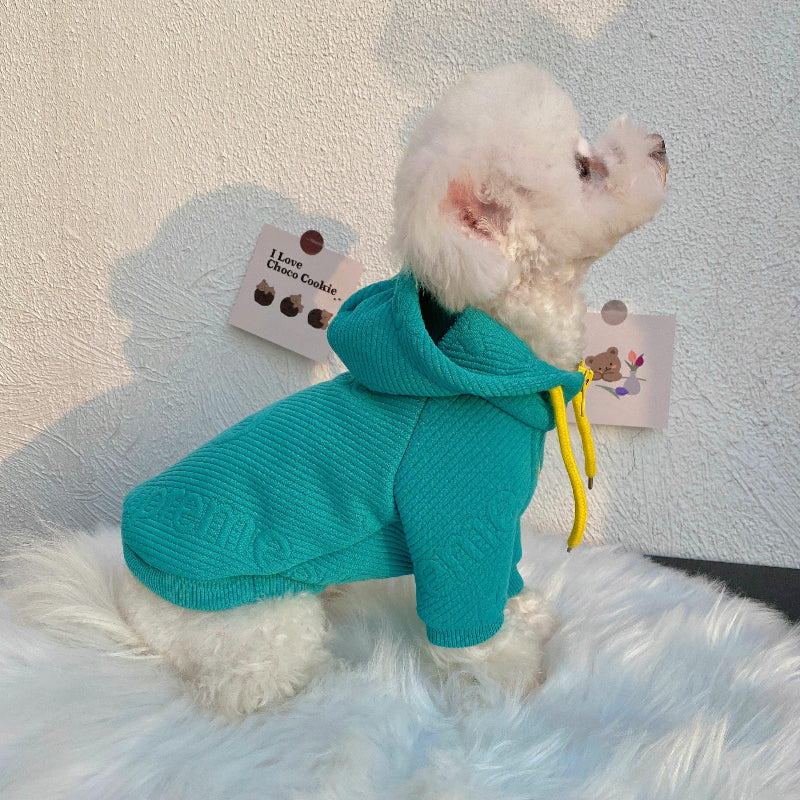 Flash Hoodie