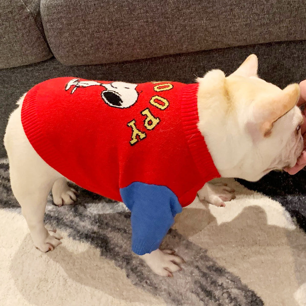 Snoopy Dog Sweater