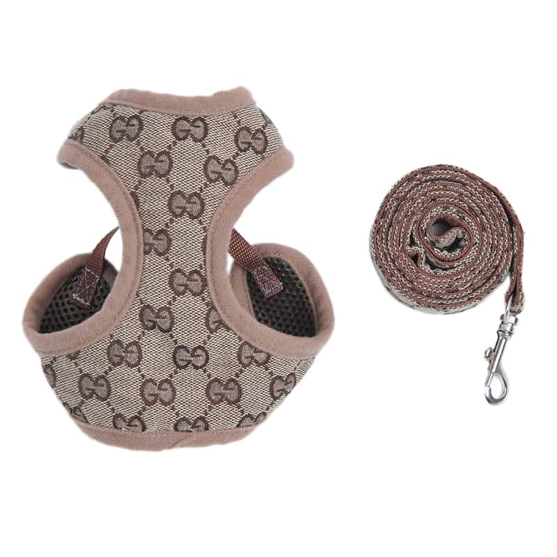 Pawcci Designer Harness With Leash Set