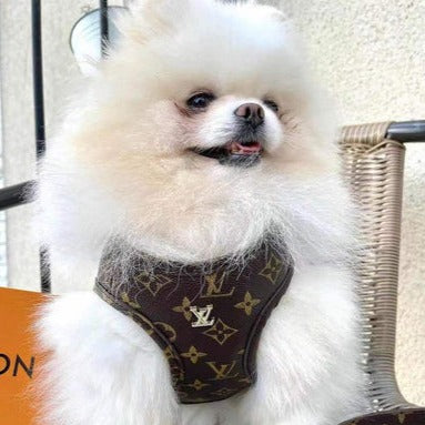 Lv Leather Harness , Leash and Collar For a Bull Dog for Sale in
