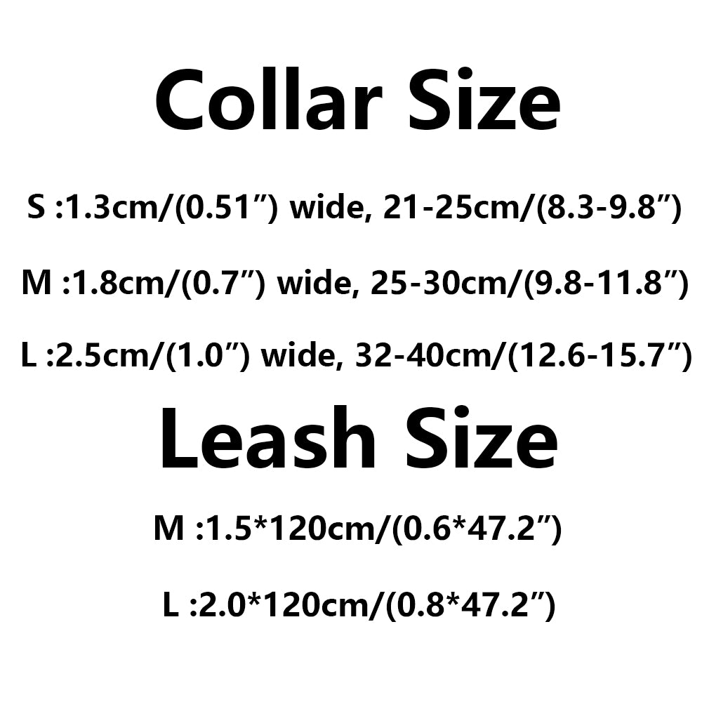 Chewy Designer Collar And Leash Set