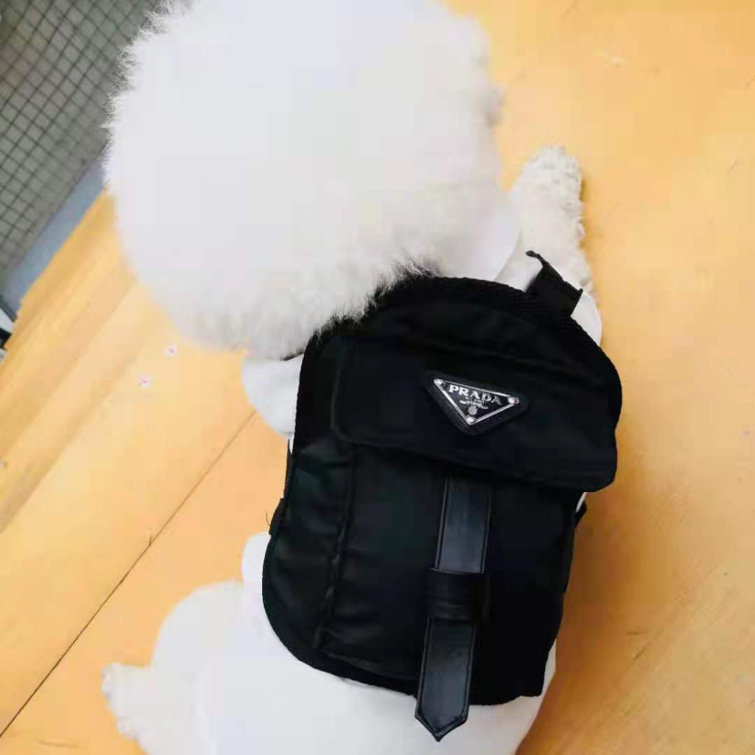 PR Designer Backpack