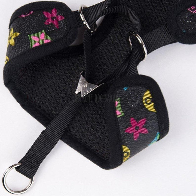 Louie Black Harness and Leash Set
