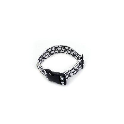 CD Luxury Collar And Leash Set