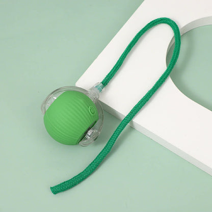 Pomeranian Rolling Ball Toy