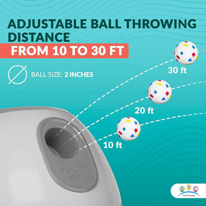 Automatic Ball Launcher for Pomeranians