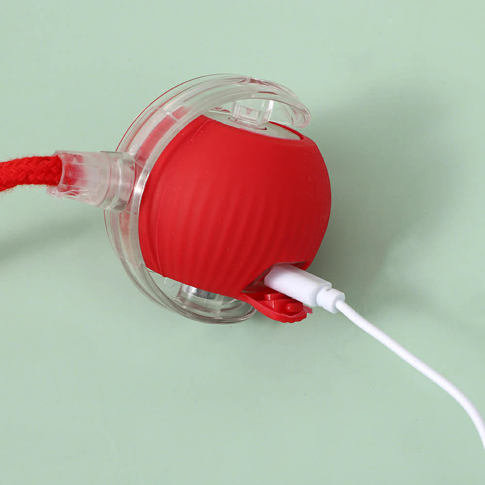 Pomeranian Rolling Ball Toy