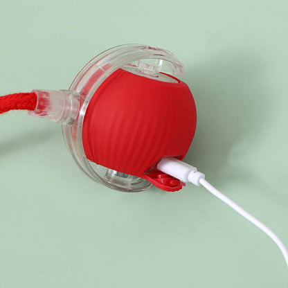 Pomeranian Rolling Ball Toy
