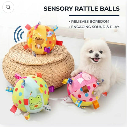 Pomeranian Elastic Ball Toy