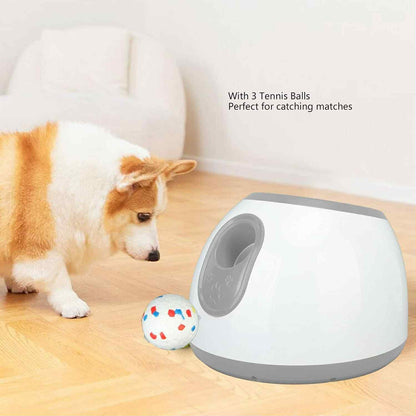 Automatic Ball Launcher for Pomeranians
