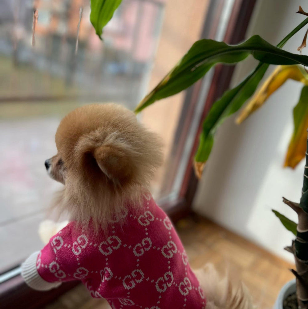 Pink Flamingo GG Sweater