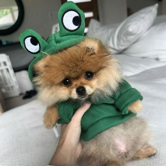 Frogy Dog Hoodie