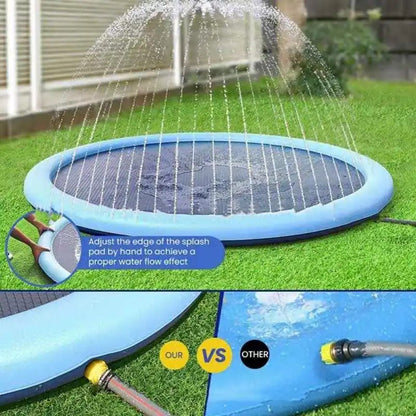 Dog Splash Summer Pool
