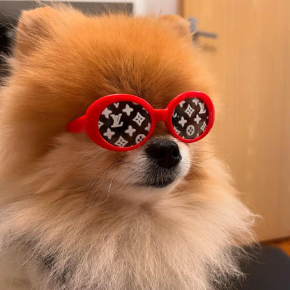 Dog Designer Sunglasses