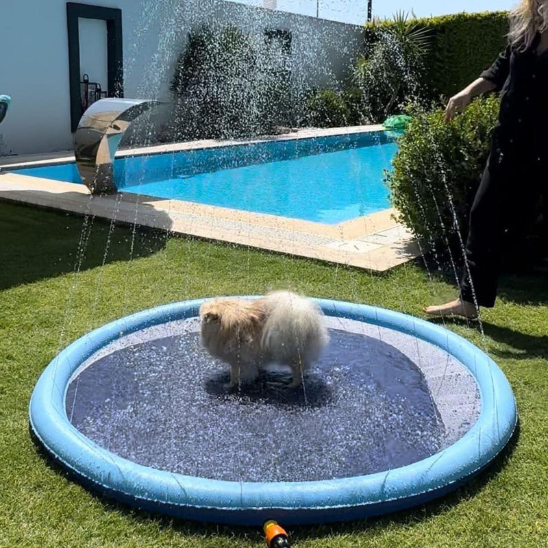 Dog Splash Summer Pool