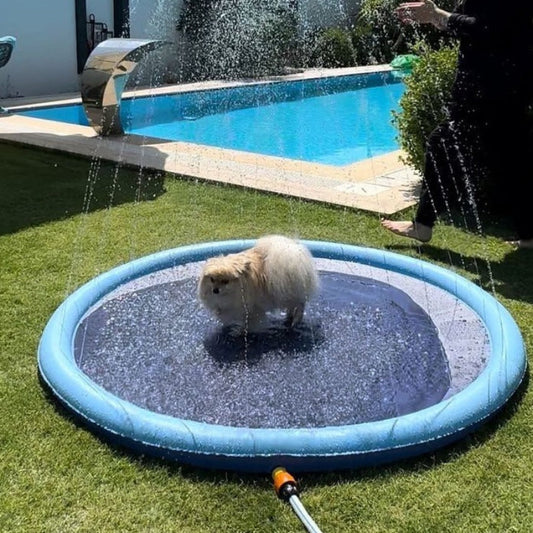 Dog Splash Summer Pool