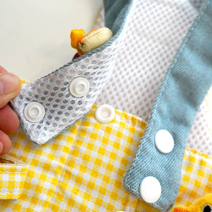 Pomeranian Ducky Soft Walking Set