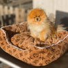Soft Dog Bed
