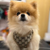 Pawcci Designer Harness With Leash Set