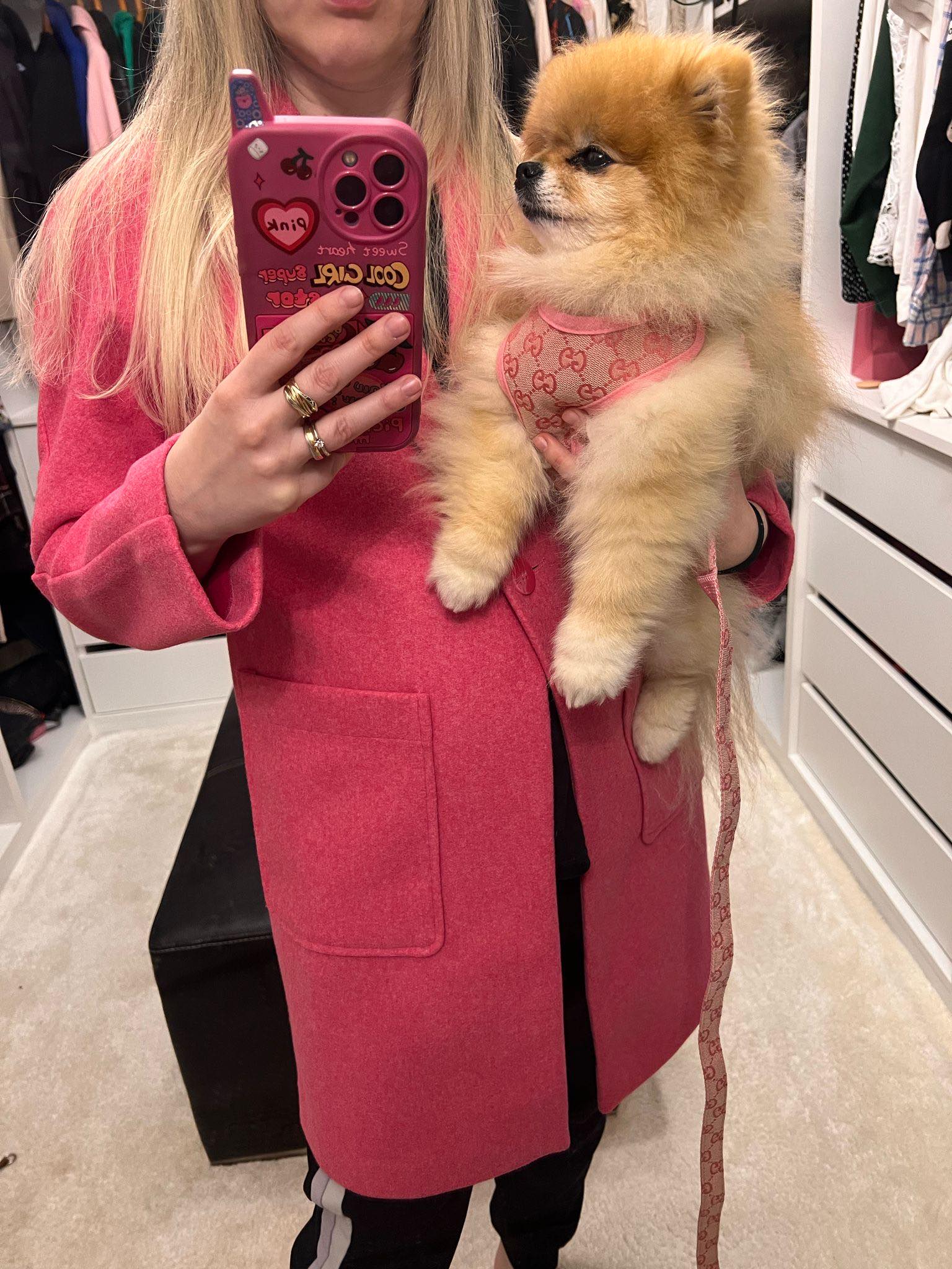 Pawcci Designer Pomeranian Harness