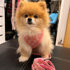Pawcci Designer Pomeranian Harness