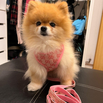 Pawcci Designer Pomeranian Harness