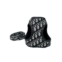 Harness Leash Set