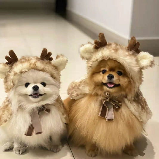 Pomeranian Christmas Costume