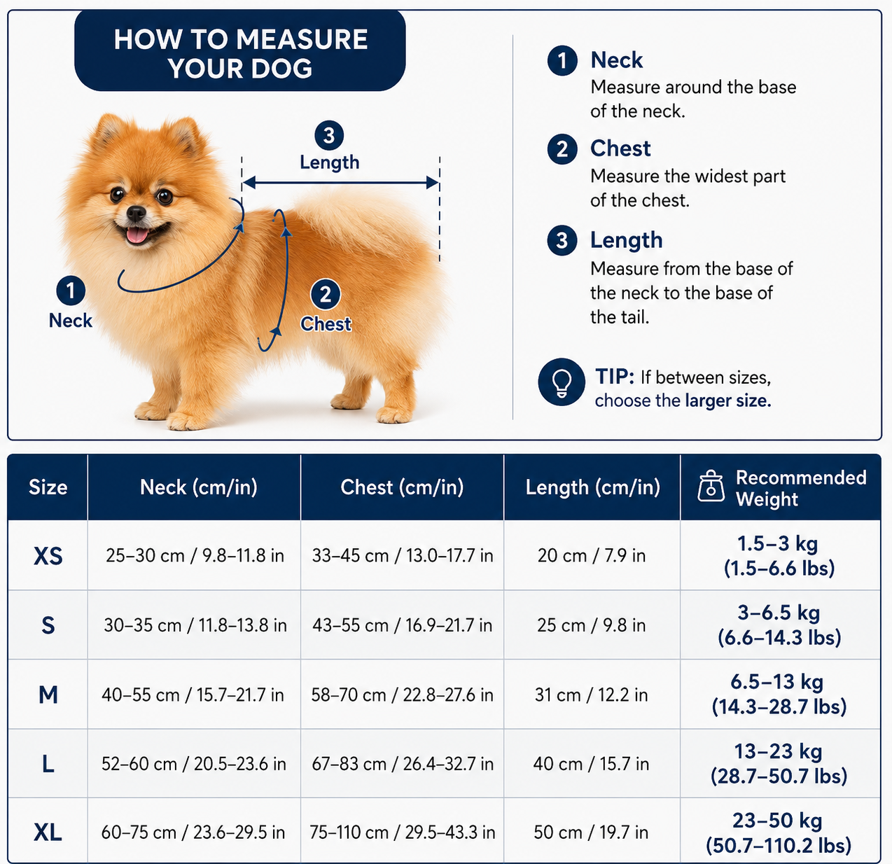 Pomeranian Floating Life Jacket