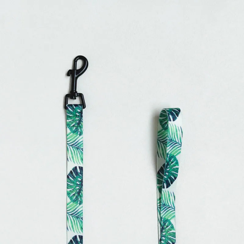 Blue Pomeranian Harness And Leash Set