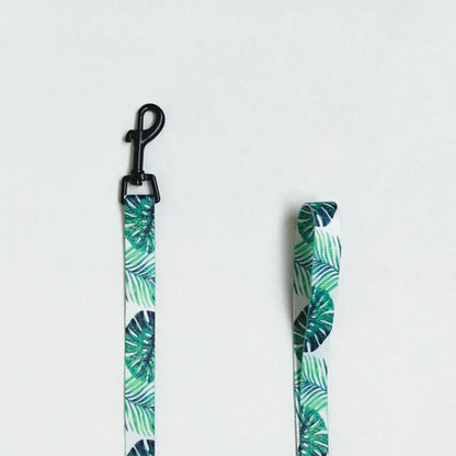 Blue Pomeranian Harness And Leash Set