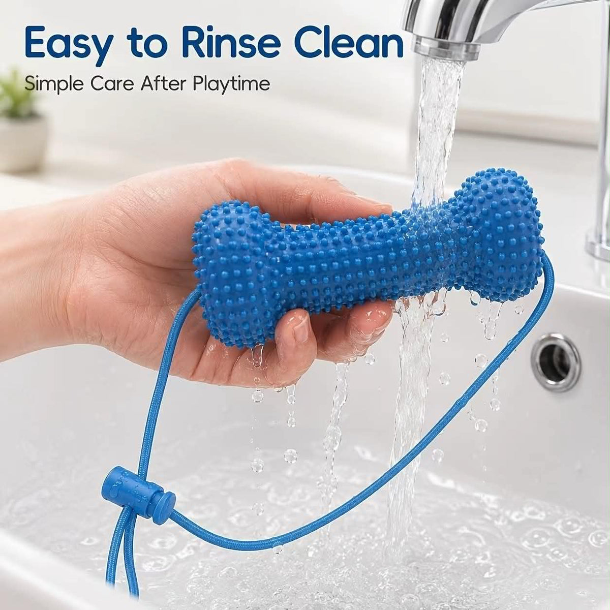 PomSmile Dental Toy
