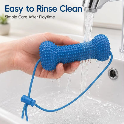 PomSmile Dental Toy