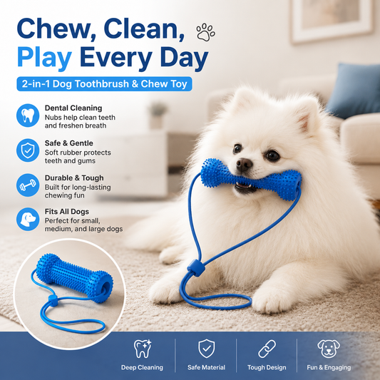 PomSmile Dental Toy