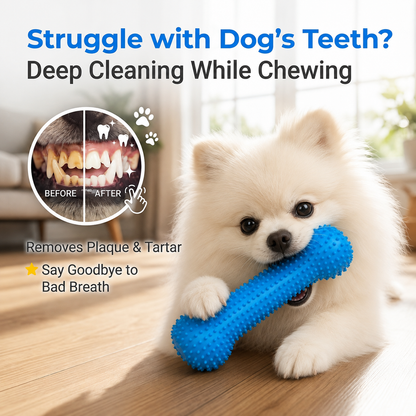 PomSmile Dental Toy