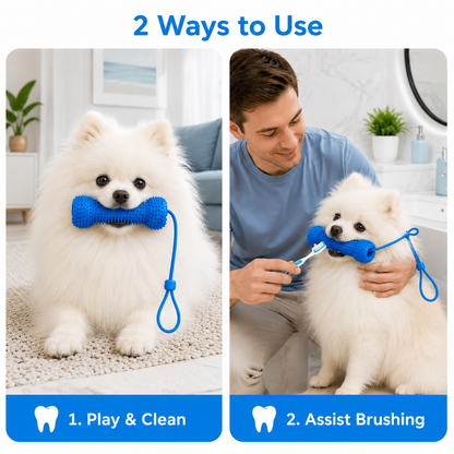 PomSmile Dental Toy
