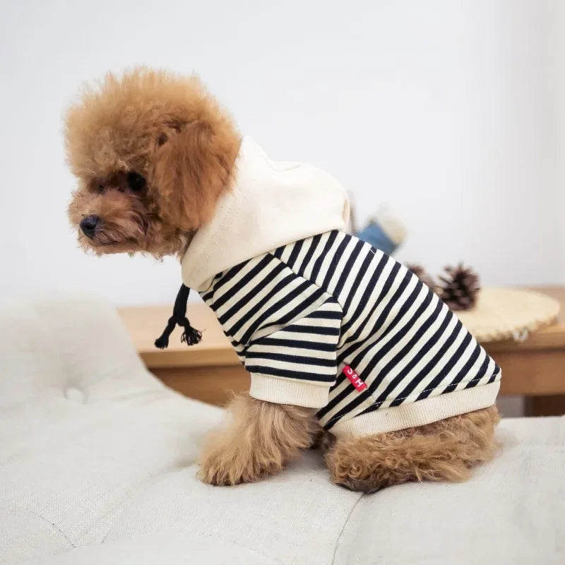 Striped Dog Hoodie