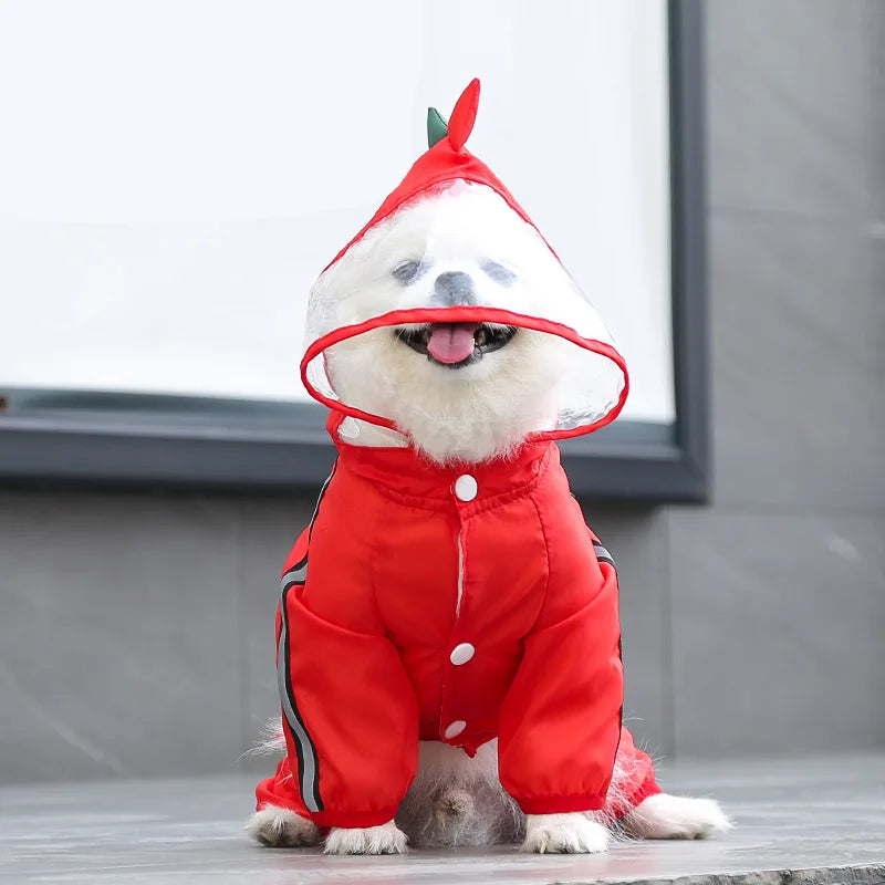 Waterproof Pomeranian Raincoat