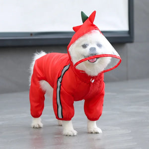 Waterproof Pomeranian Raincoat