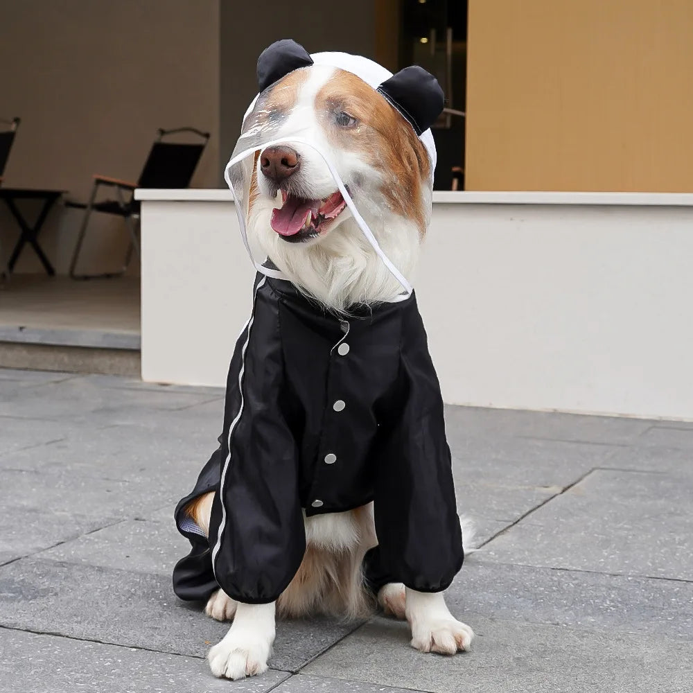 Waterproof Pomeranian Raincoat