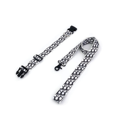 CD Luxury Collar And Leash Set