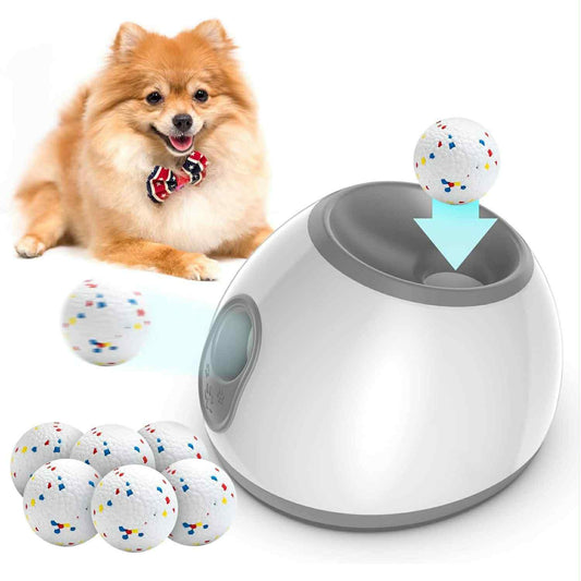 Automatic Ball Launcher for Pomeranians