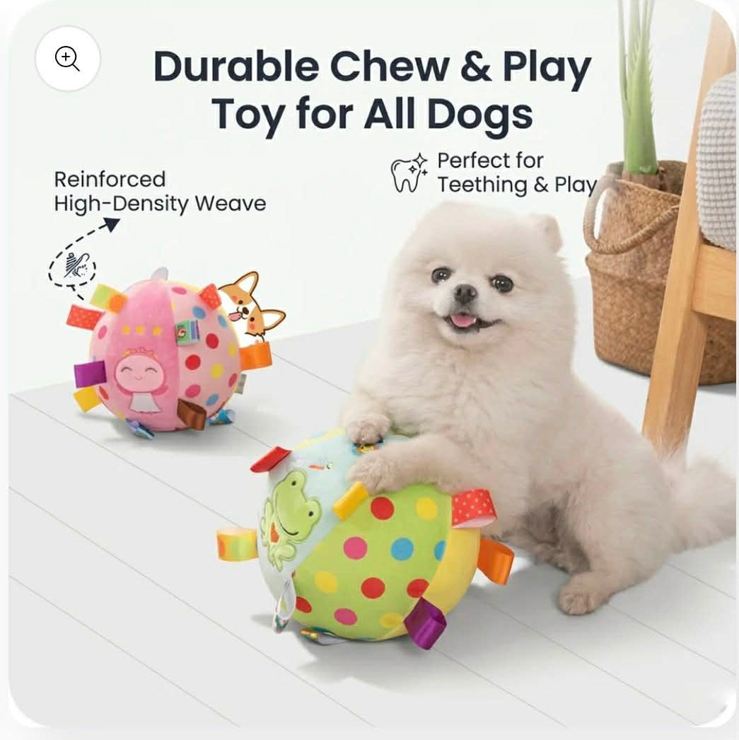 Pomeranian Elastic Ball Toy