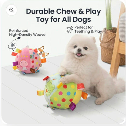 Pomeranian Elastic Ball Toy